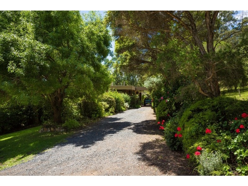 166 Bald Hills Road, Pambula NSW 2549