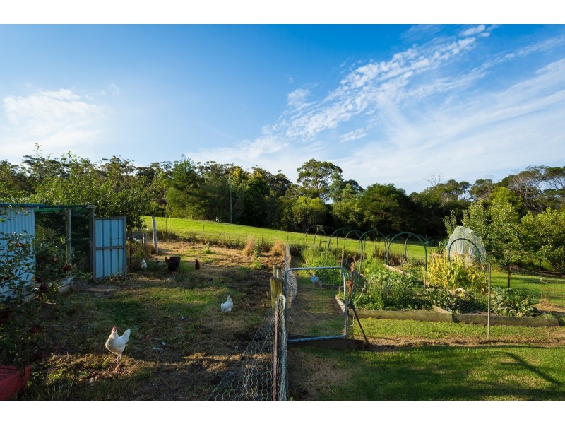 1621 Nethercote Road, Greigs Flat NSW 2549