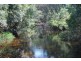 923 Nethercote Road, Nethercote NSW 2549