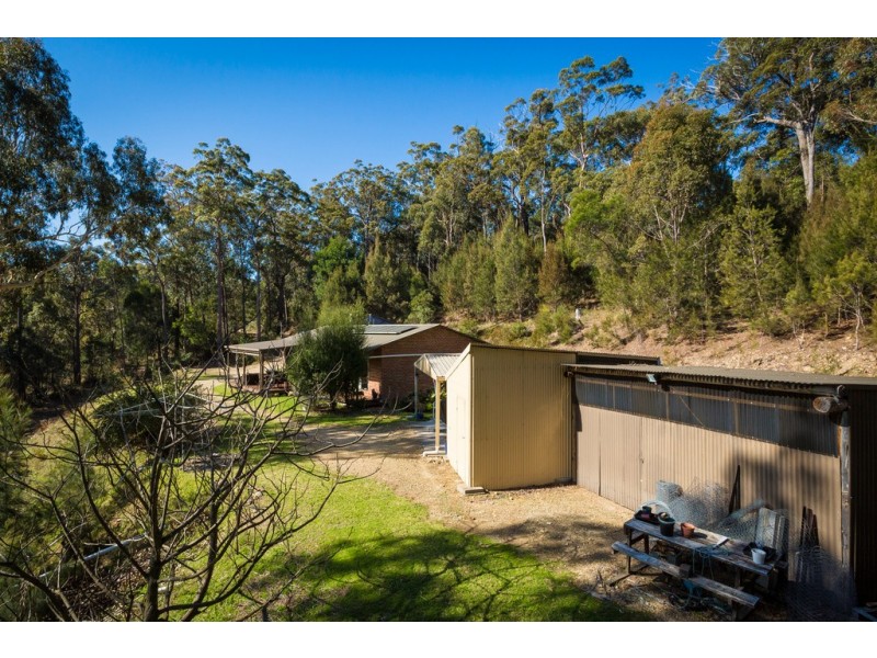 1251 Sapphire Coast Drive, Wallagoot NSW 2550