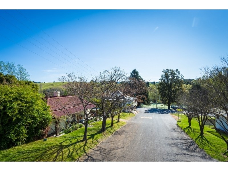 24 Panbula Street, Candelo NSW 2550