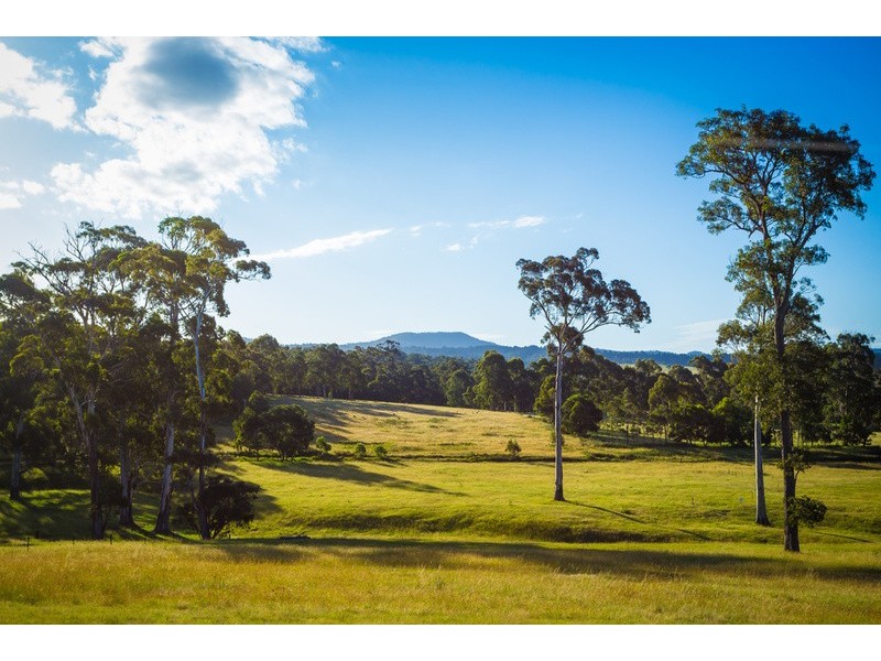 13 Millingandi Road, Millingandi NSW 2549