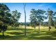 13 Millingandi Road, Millingandi NSW 2549
