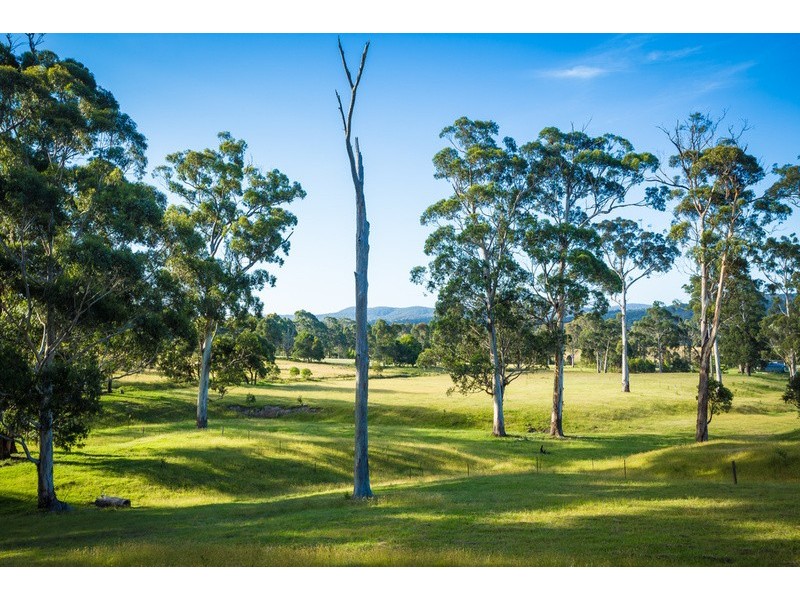 13 Millingandi Road, Millingandi NSW 2549