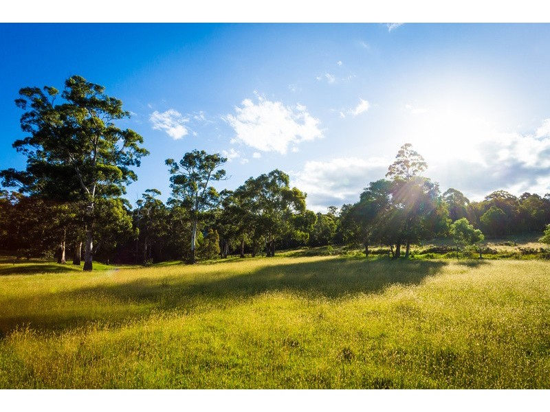 13 Millingandi Road, Millingandi NSW 2549