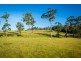 13 Millingandi Road, Millingandi NSW 2549