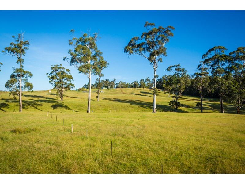 13 Millingandi Road, Millingandi NSW 2549