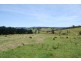 Lot C Back Creek Road, Lochiel NSW 2549