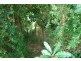 11b Booroo Street, Pambula Beach NSW 2549