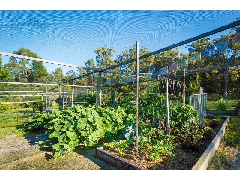 49 Government Road, Eden NSW 2551