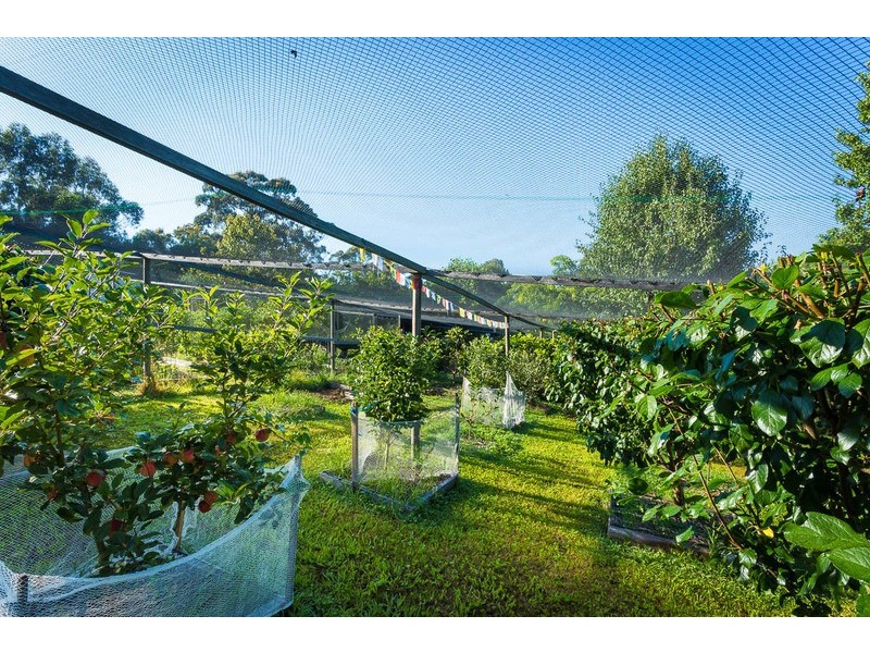 49 Government Road, Eden NSW 2551