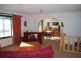 91 Devils Hole Road, Wyndham NSW 2550