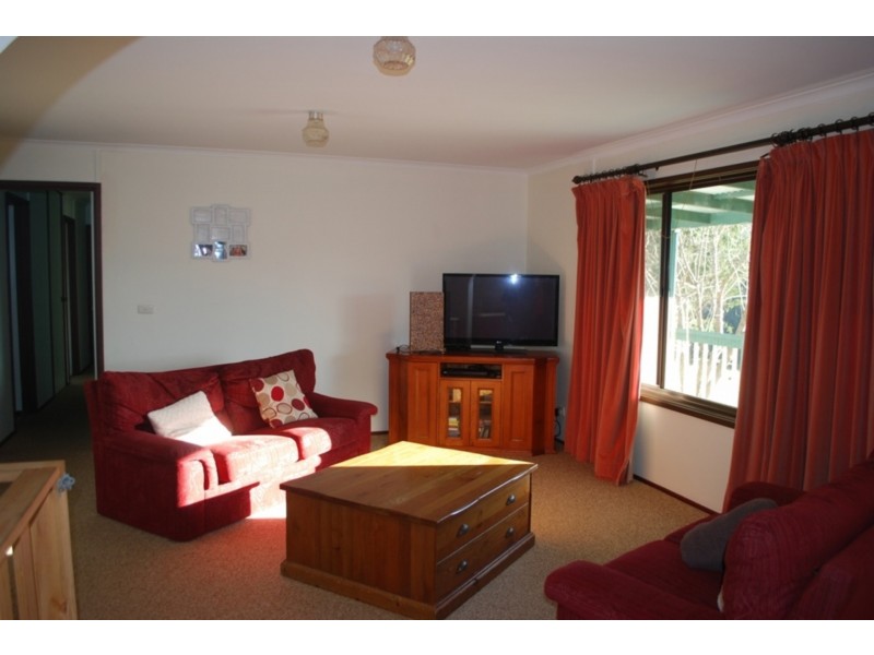 91 Devils Hole Road, Wyndham NSW 2550