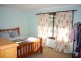 91 Devils Hole Road, Wyndham NSW 2550