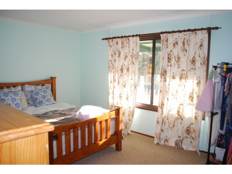 91 Devils Hole Road, Wyndham NSW 2550