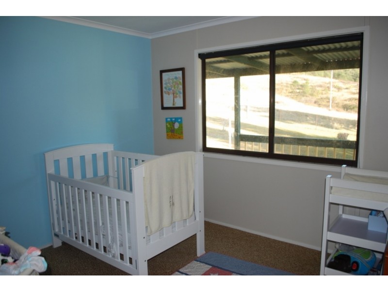 91 Devils Hole Road, Wyndham NSW 2550