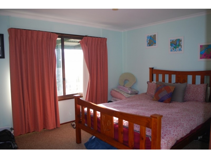 91 Devils Hole Road, Wyndham NSW 2550