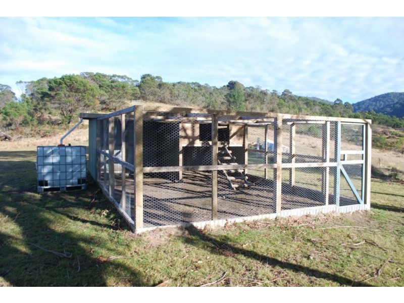 91 Devils Hole Road, Wyndham NSW 2550