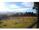 91 Devils Hole Road, Wyndham NSW 2550