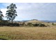 91 Devils Hole Road, Wyndham NSW 2550