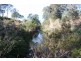 91 Devils Hole Road, Wyndham NSW 2550