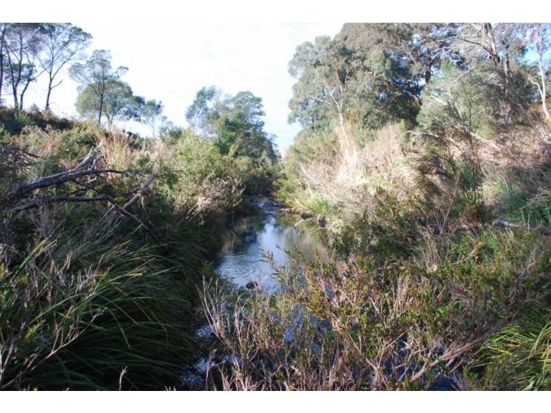 91 Devils Hole Road, Wyndham NSW 2550