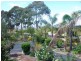 232 Bald Hills Road, Bald Hills NSW 2549