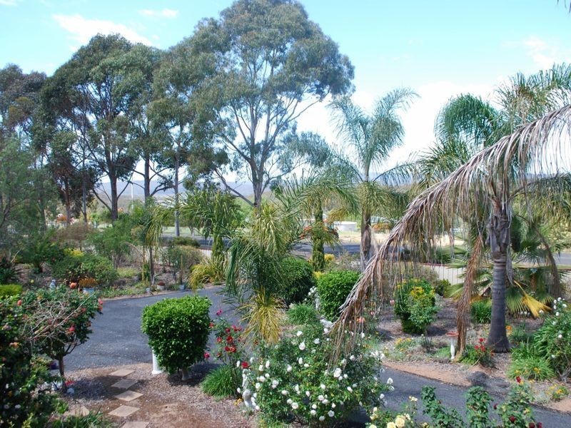 232 Bald Hills Road, Bald Hills NSW 2549