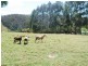 232 Bald Hills Road, Bald Hills NSW 2549