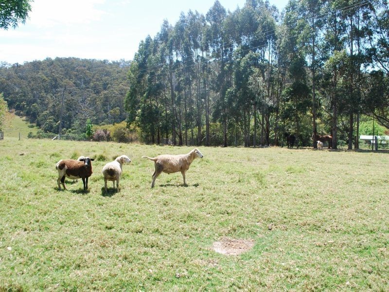 232 Bald Hills Road, Bald Hills NSW 2549
