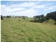 232 Bald Hills Road, Bald Hills NSW 2549