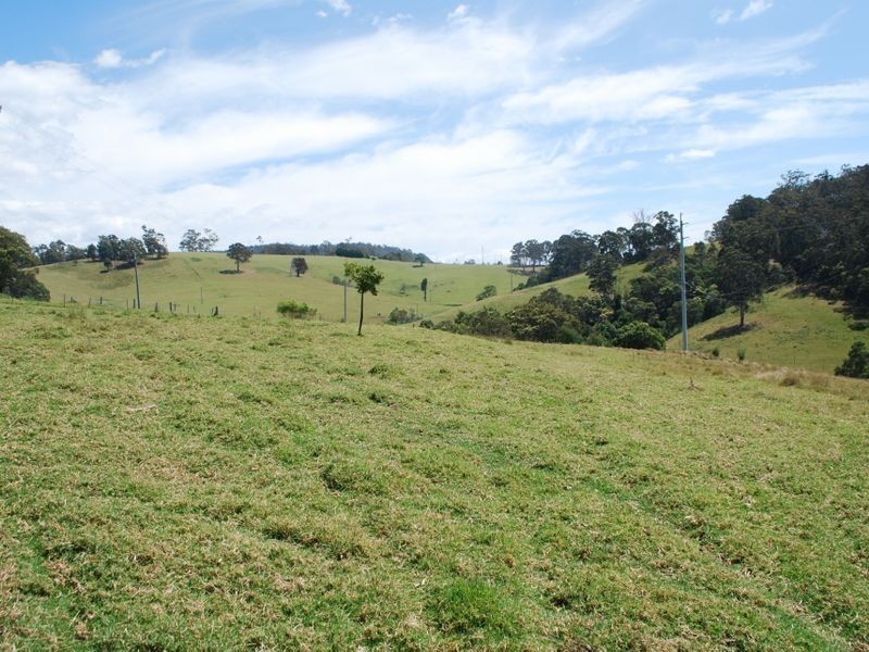 232 Bald Hills Road, Bald Hills NSW 2549
