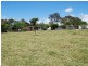 232 Bald Hills Road, Bald Hills NSW 2549