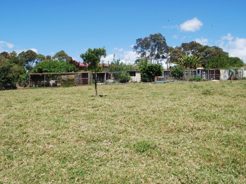 232 Bald Hills Road, Bald Hills NSW 2549