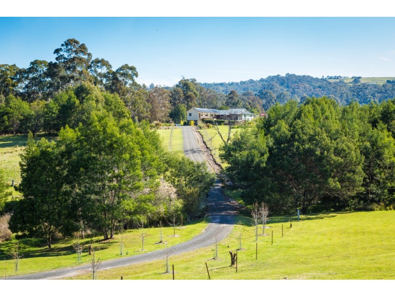 34 Belmont Drive, Bald Hills NSW 2549