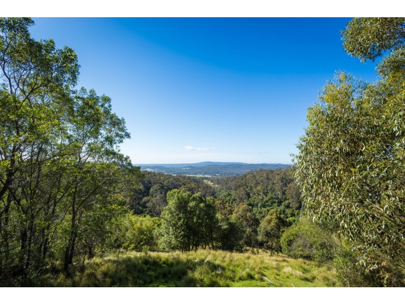 Lot A Omaru Lane, Bald Hills NSW 2549