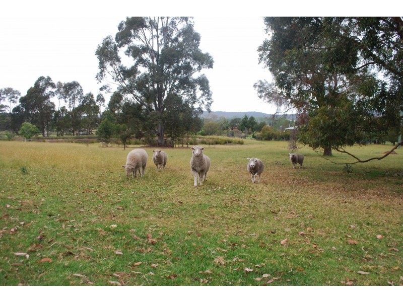 90 Oaklands Road, Pambula NSW 2549