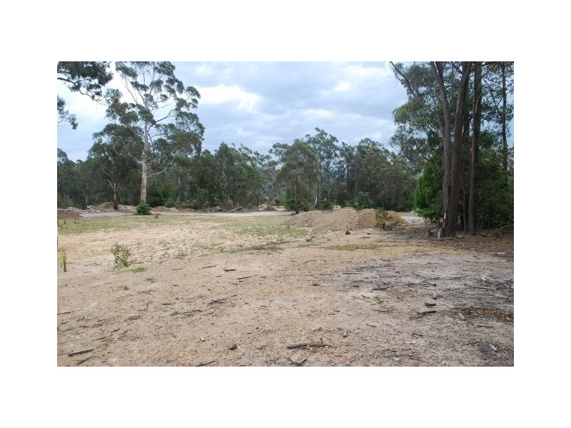 147 Mount Darragh Road, South Pambula NSW 2549