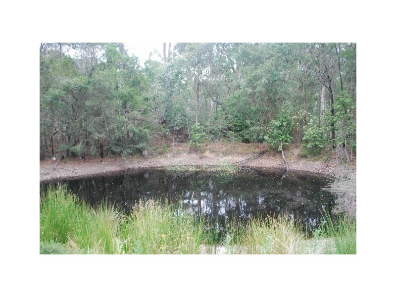 147 Mount Darragh Road, South Pambula NSW 2549