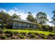 37 Stringybark Place, Millingandi NSW 2549
