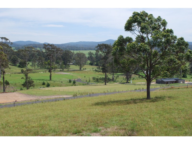 3 Oakleaf Place, Millingandi NSW 2549