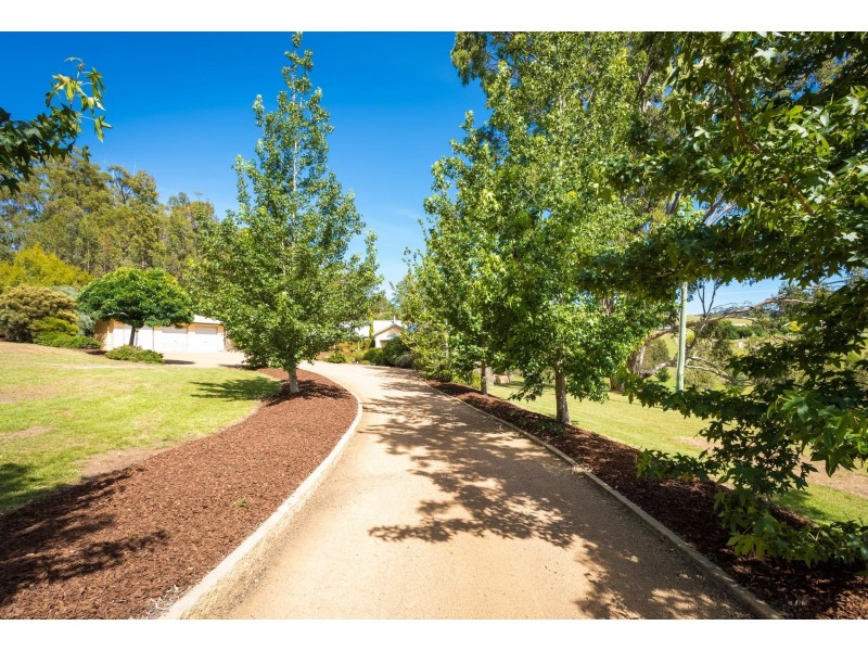 473 Oaklands Road, Bald Hills NSW 2549