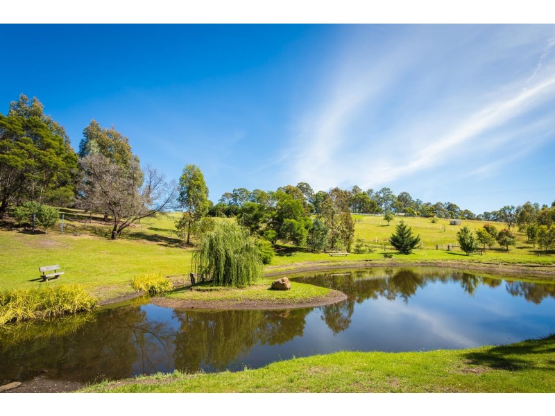 473 Oaklands Road, Bald Hills NSW 2549
