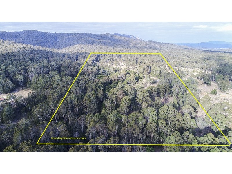 2075 Mt Darragh Road, Wyndham NSW 2550