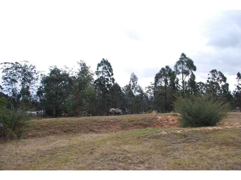 2075 Mt Darragh Road, Wyndham NSW 2550