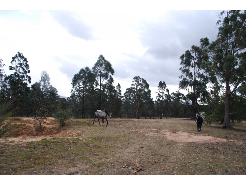 2075 Mt Darragh Road, Wyndham NSW 2550