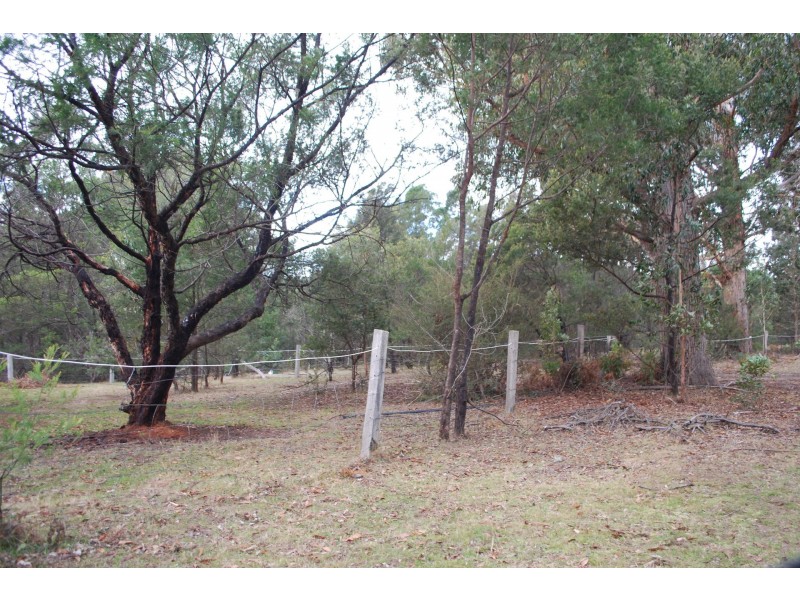 2075 Mt Darragh Road, Wyndham NSW 2550