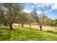 67 Rainbow Street, Pambula NSW 2549