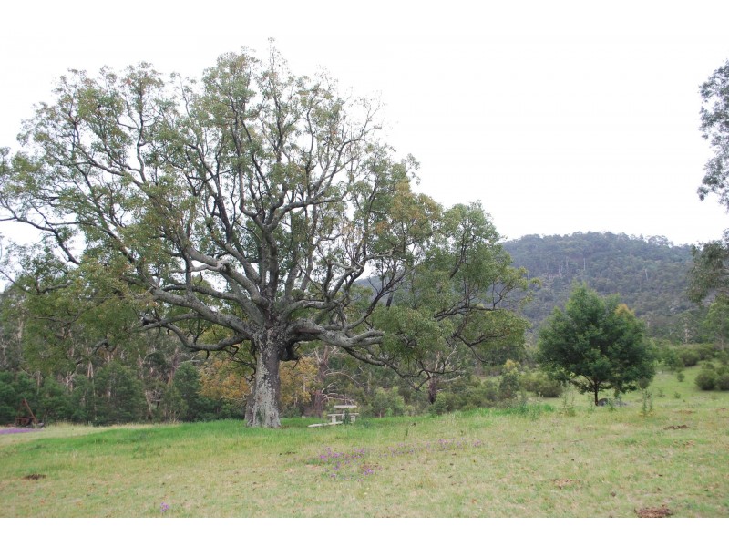 25 New Buildings Road, New Buildings NSW 2550