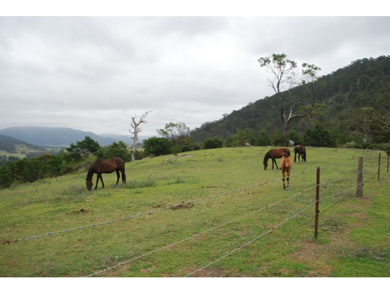 25 New Buildings Road, New Buildings NSW 2550